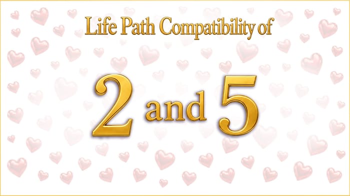 life-path-2-and-5-compatibility Life Path 2 and 5: When Stability Craves Adventure