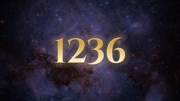 Angel Number 1236 Meaning Angel number 1236 meaning
