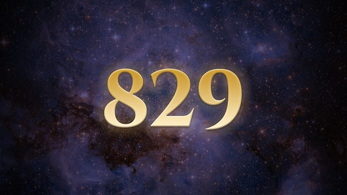 Angel Number 829 Meaning Angel number 829 meaning