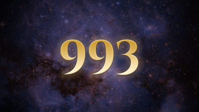 angel_a619-0424 Angel number 993 meaning