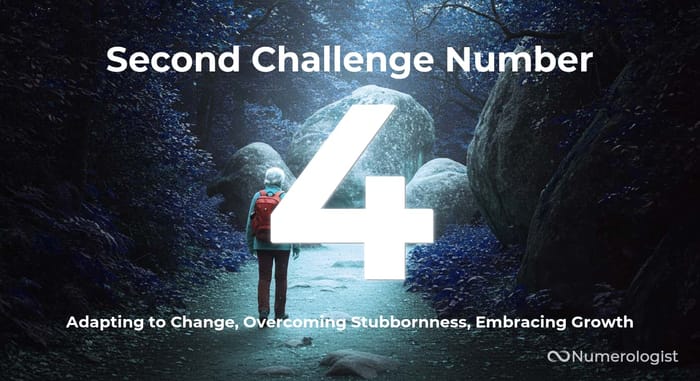 Second Challenge Number 4 Second Challenge Number 4