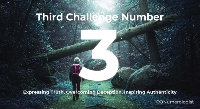 Third Challenge Number 3 Third Challenge Number 3
