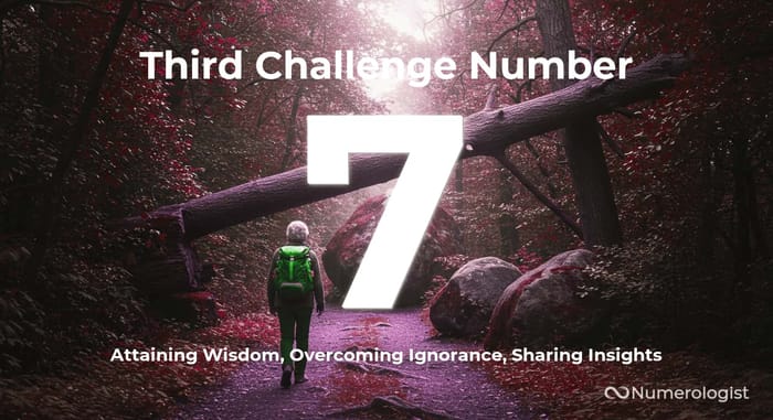 Third Challenge Number 7 Third Challenge Number 7