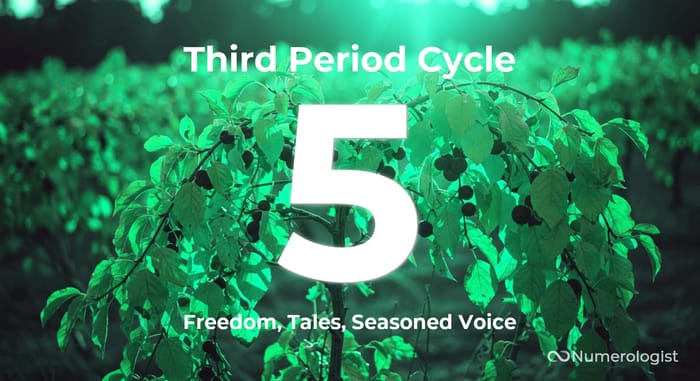 Third Period Cycle 5 Third Period Cycle 5