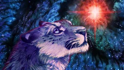 how to read tarot How To Read Tarot For Yourself In 5 Simple Steps