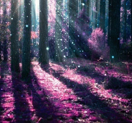 The Numerologist community