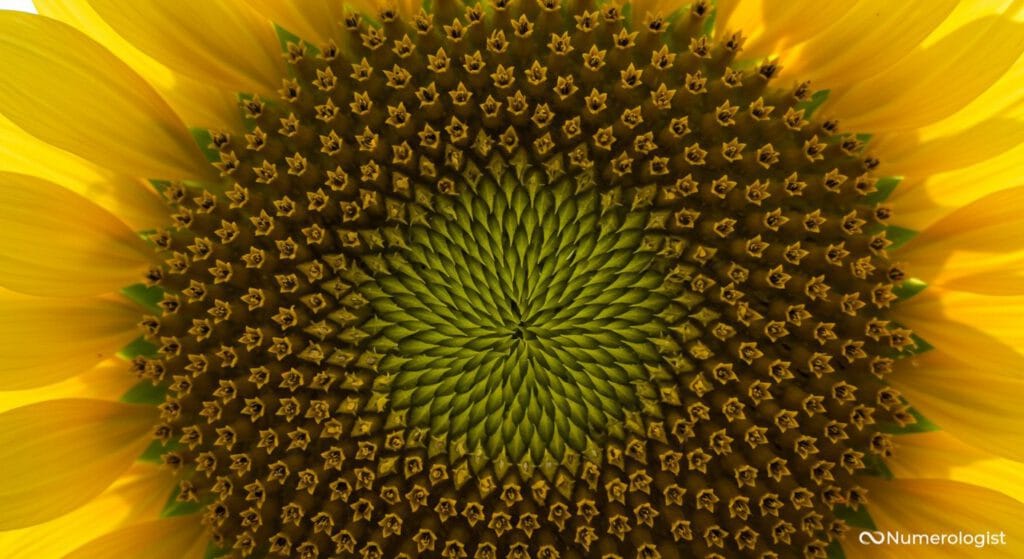 Fibonacci V1 Fibonacci V1