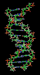 DNA_orbit_animated_static_thumb DNA_orbit_animated_static_thumb