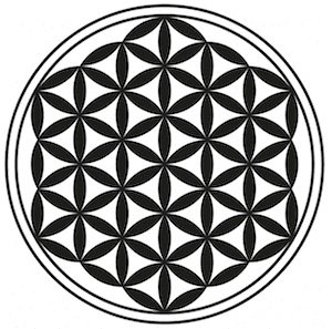 flower 2 flower 2