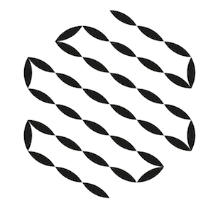 flower 5 flower 5