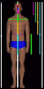humanbod humanbod