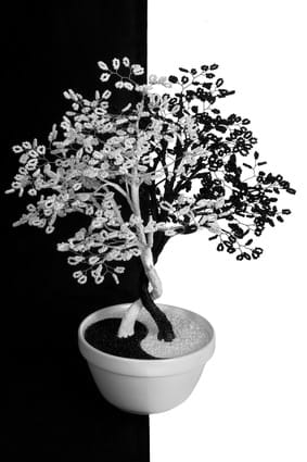 Article Img Fengshui1