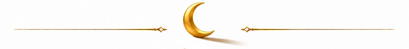 shadow moon section separator