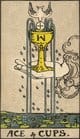 Ace of Cups