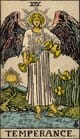 XIV - Temperance