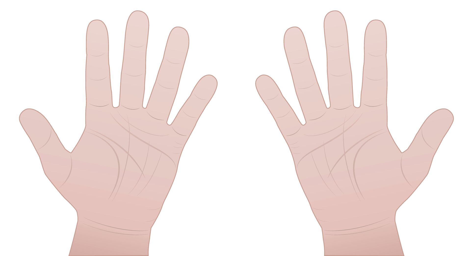 Palm reading hand diagram showing lines and mounts