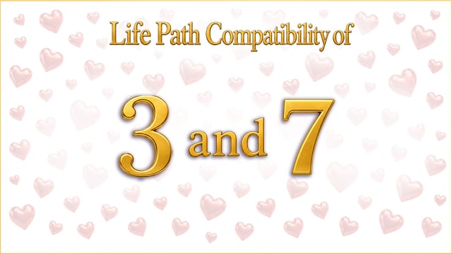 Life Path 3 and 7 Compatibility: The Party and the Library
