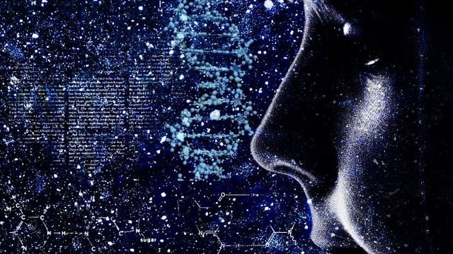 The Fibonacci Sequence & the Golden Spiral in the Human Body