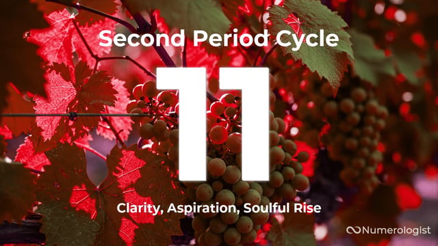 Second Period Cycle 11
