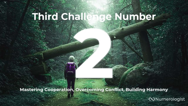 Third Challenge Number 2