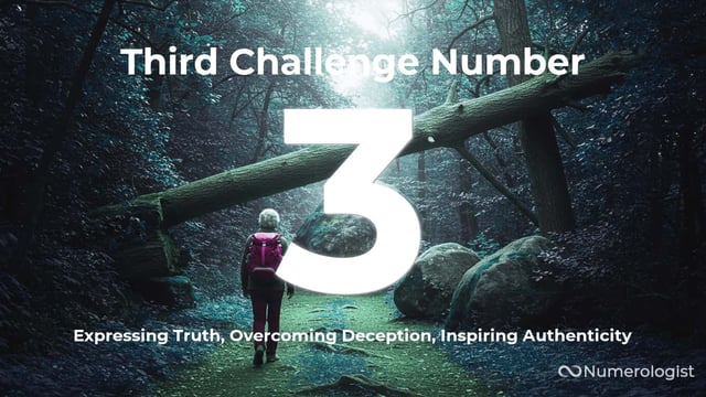 Third Challenge Number 3