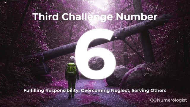 Third Challenge Number 6