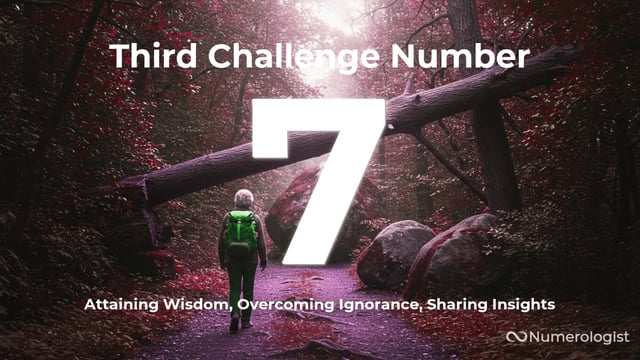 Third Challenge Number 7