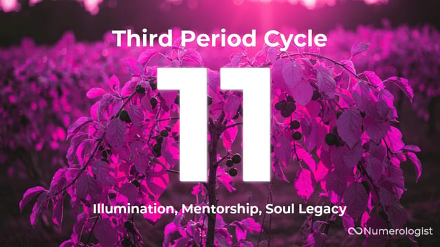 Third Period Cycle 11