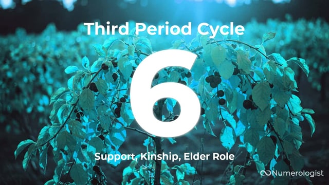 Third Period Cycle 6