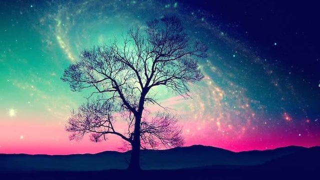 understanding the tarot