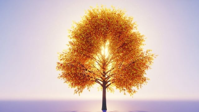 Life’s Integration Phase: Understanding Your Third Pinnacle Number