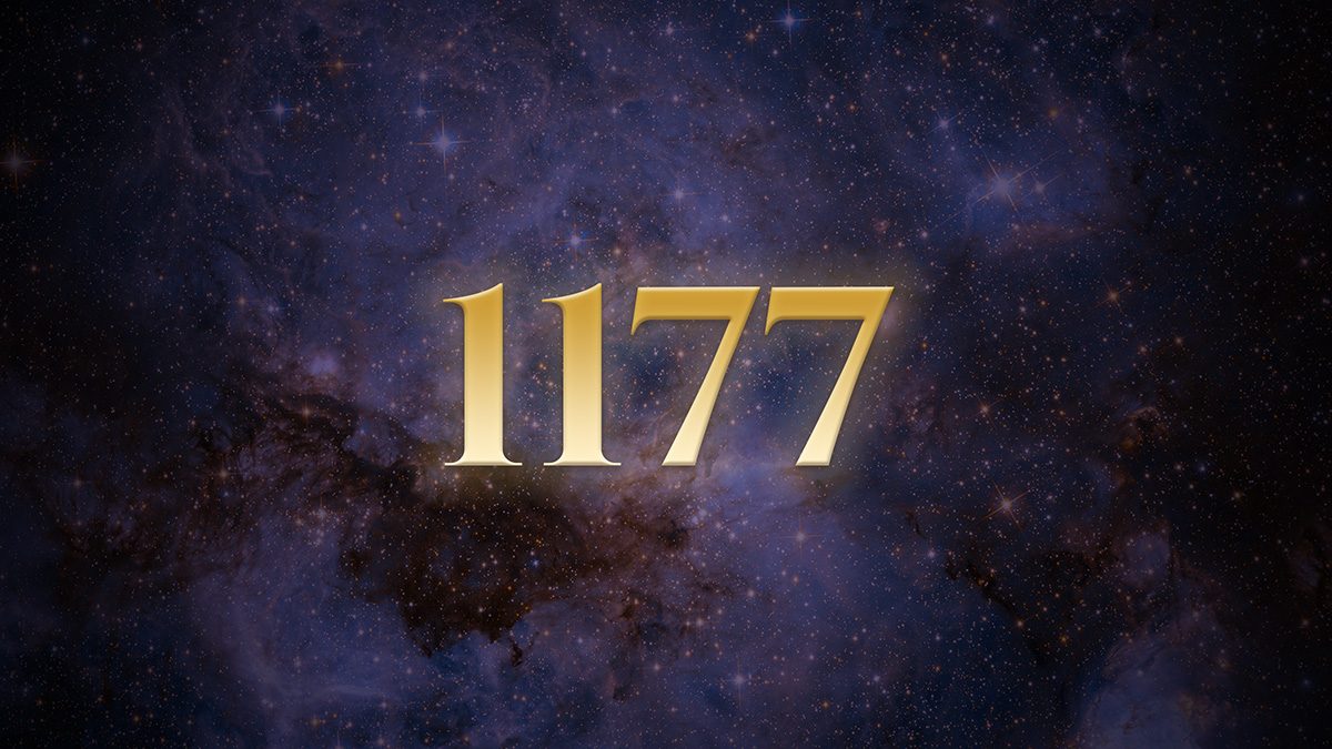 Angel Number 1177: The Tally Falls but the Wins Remain