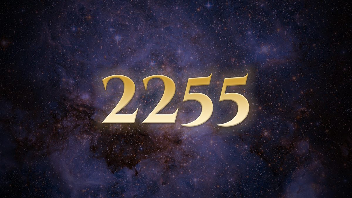 Angel Number 2255: The Listener Who Became the Authority