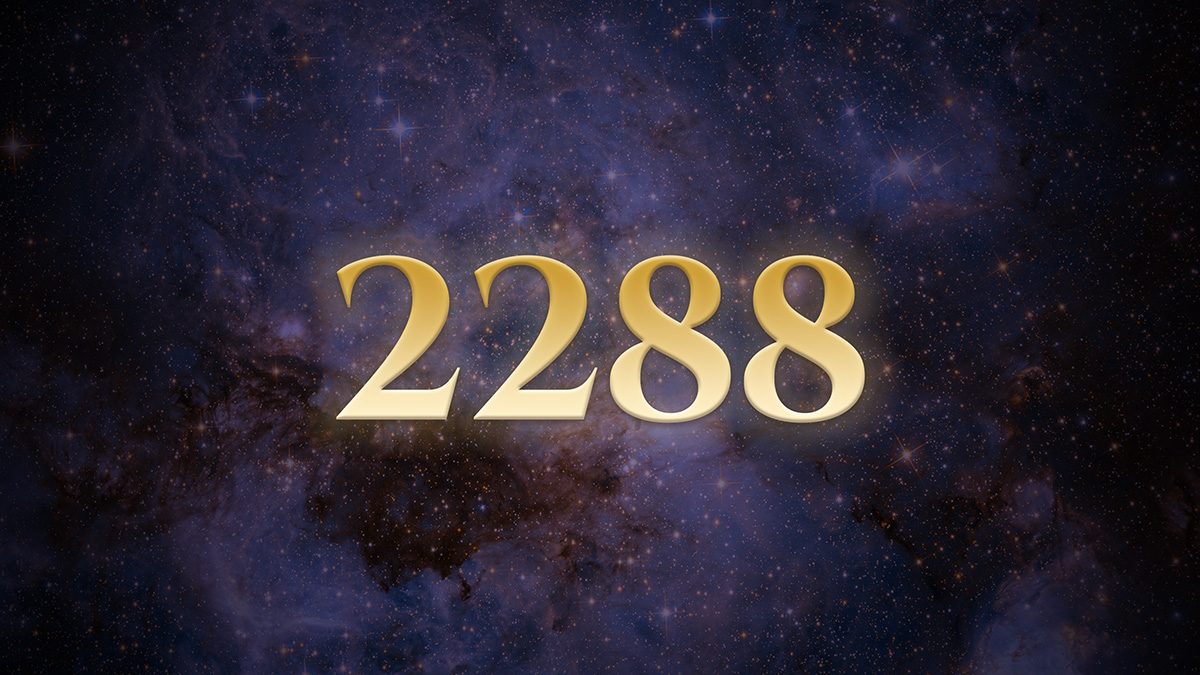 Angel Number 2288: The Listening That Became a Pulse