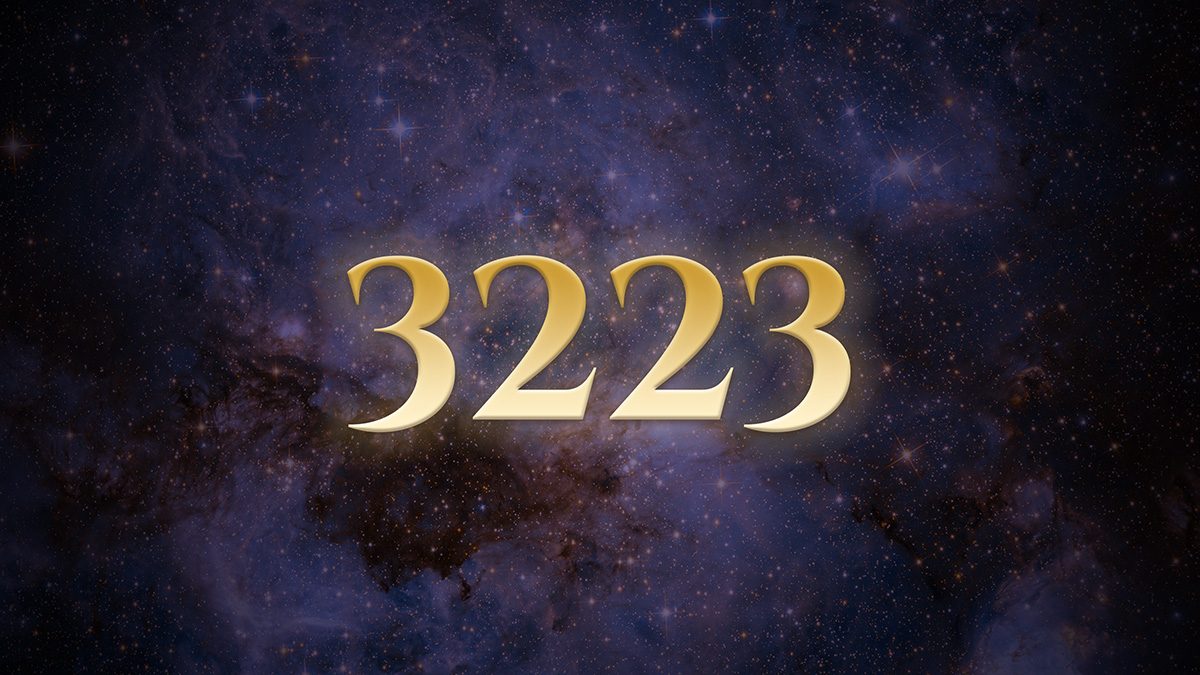 Angel Number 3223: Creativity That Learned to Listen