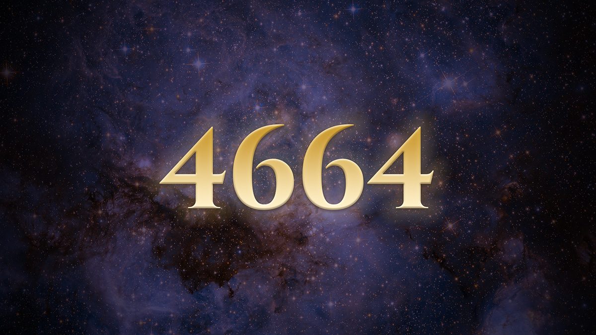 4664 Angel Number 4664: The Choice That Happened Inside Walls