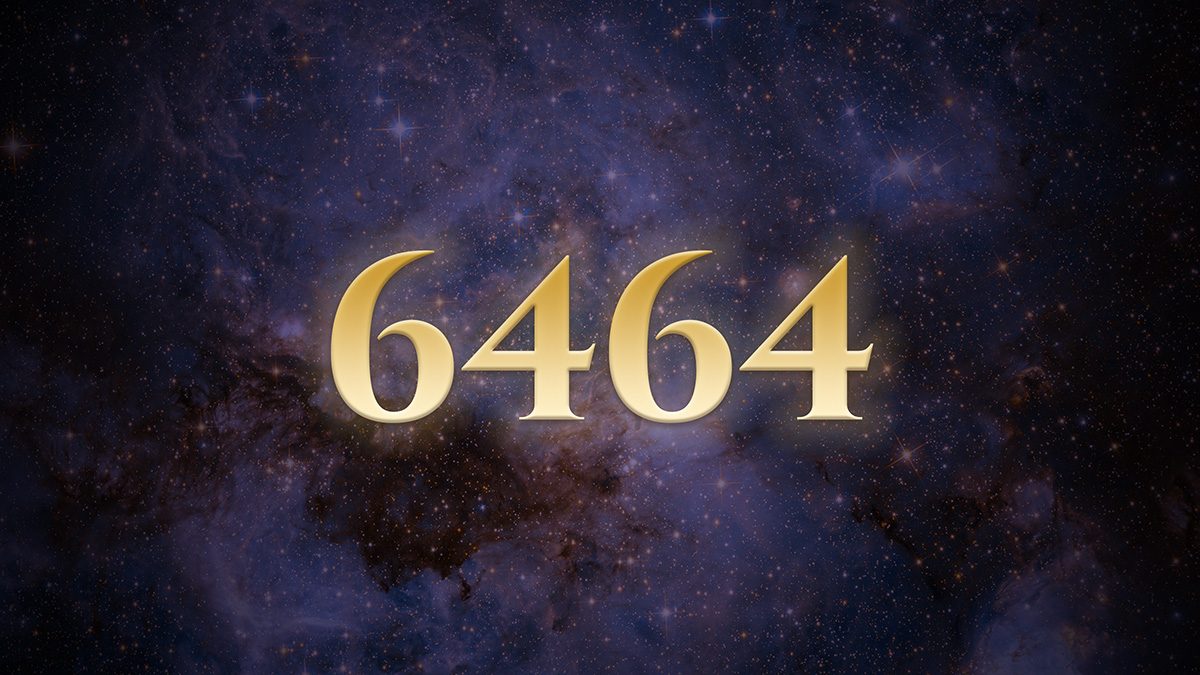 Angel Number 6464: The Loop of Choosing and Building