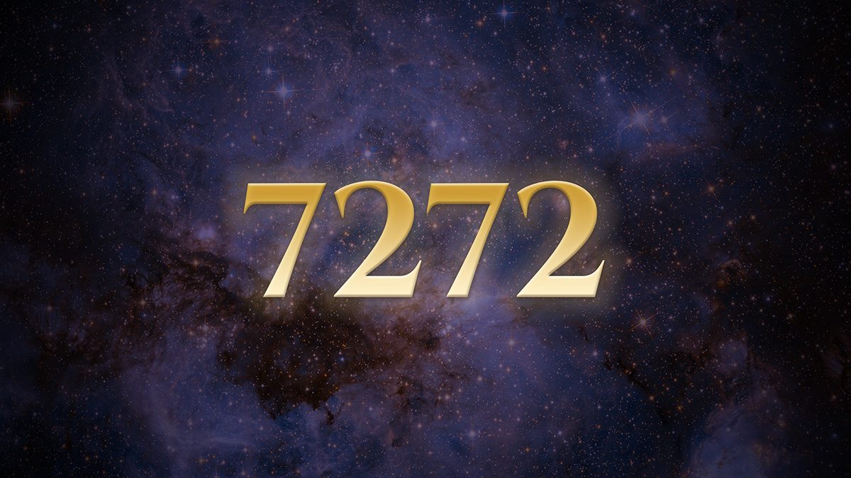 Angel Number 7272: The One Who Wins, Then Asks Why