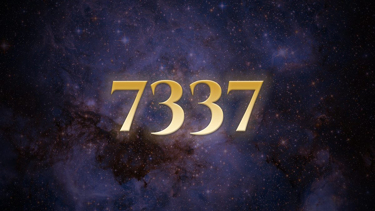 Angel Number 7337: The Quiet That Follows Two Victories