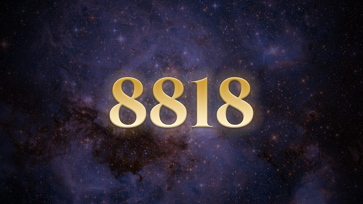 Angel Number 8818: The Spark That Fires Late | Numerologist.com