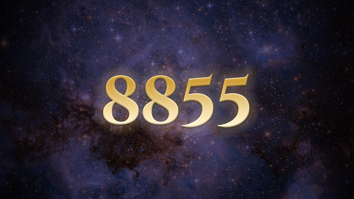 Angel Number 8855: The Rhythm That Governed Itself