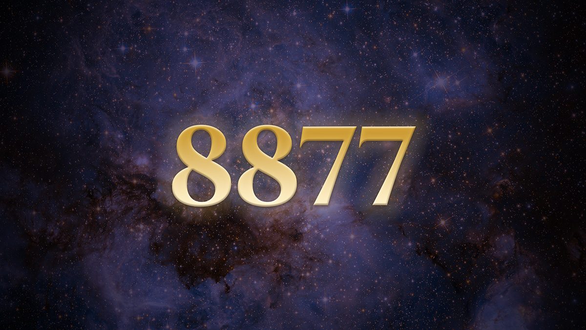 Angel Number 8877: What Rhythm and Victory Create