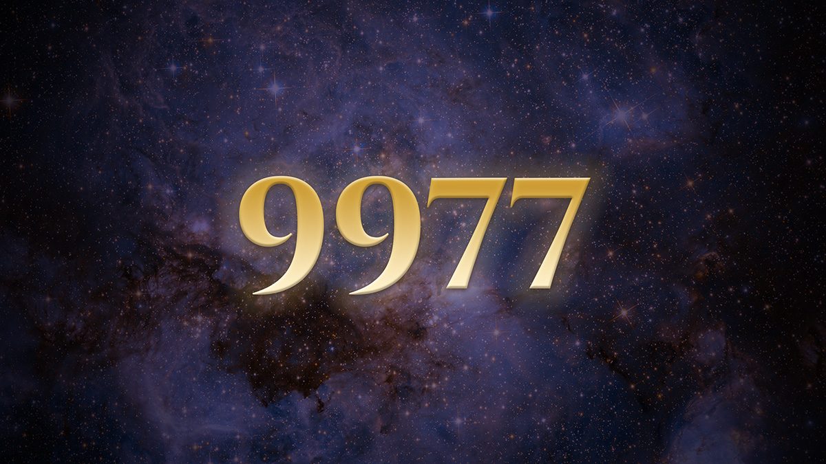 Infinity 9977 Angel Number 9977: The Sage Who Returned to the Arena