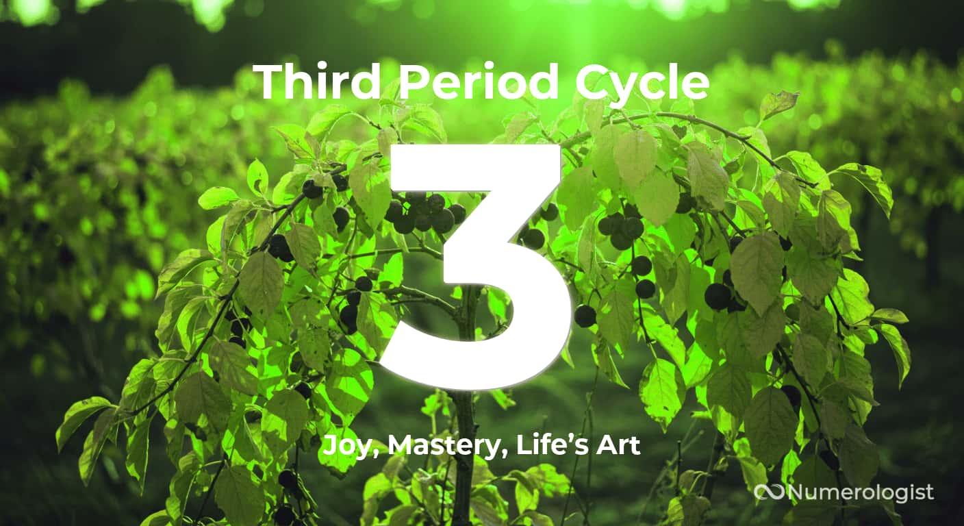Third Constitional Period Third Period Cycle 3: Creative Joy in Your Later Years